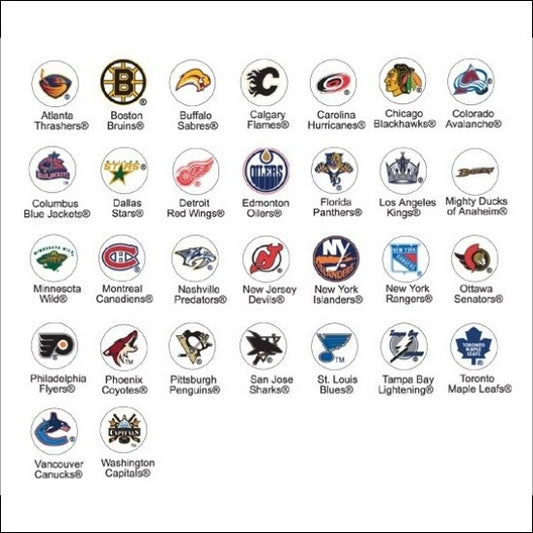 NHL Sports Sign